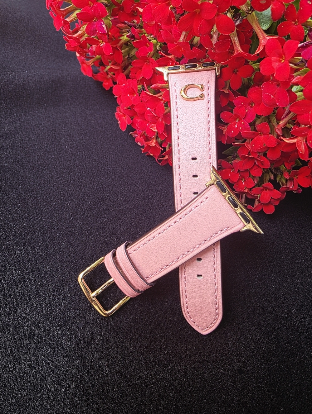 COACH Replacement Band For Apple Watch